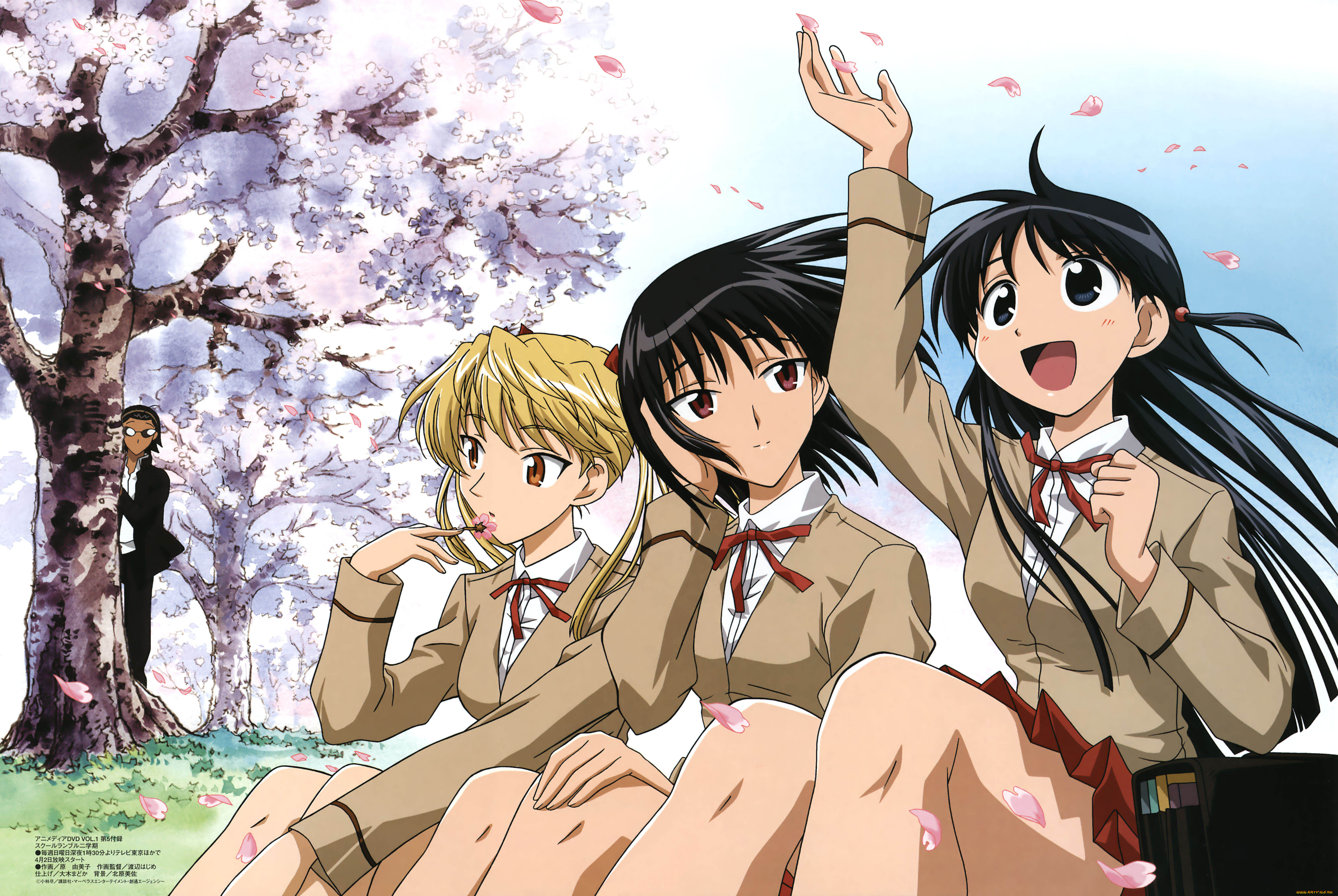 Обои Аниме School Rumble, обои для рабочего стола, фотографии аниме, school  rumble, дерево, цветение, весна, сакура, наблюдение, парень, девушки Обои  для рабочего стола, скачать обои картинки заставки на рабочий стол.